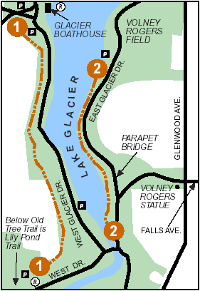 Old Tree Trail Map