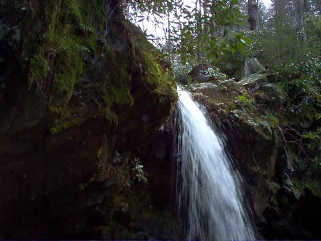 Grotto Falls Oregon Directions